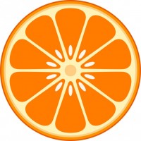 オレンジ断面3（…