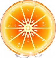 オレンジ断面4（…