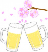 桜に乾杯