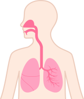 口・鼻・肺アイコ…