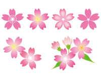 桜の花アイコンセ…