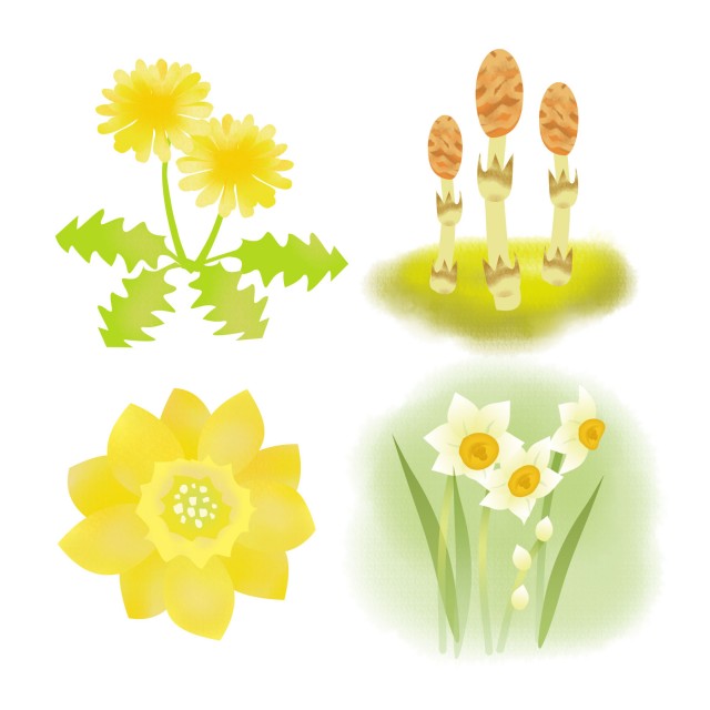 春の植物アイコン 無料イラスト素材 素材ラボ