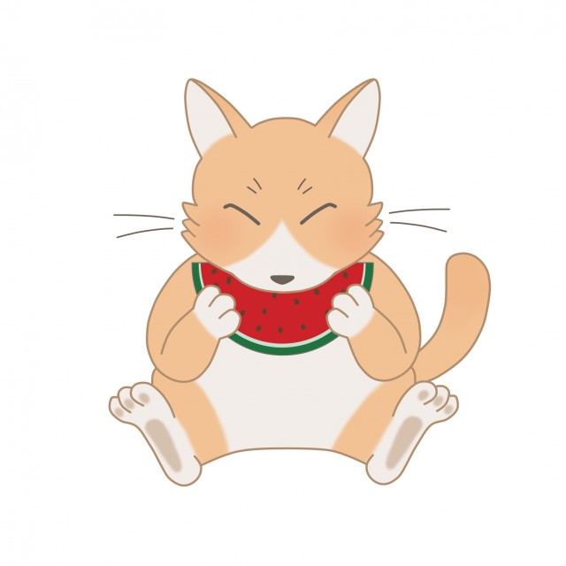 8月のイラスト スイカを食べているネコ 無料イラスト素材 素材ラボ