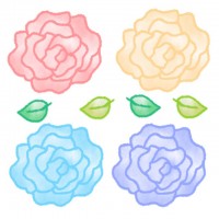 バラの花　四種類