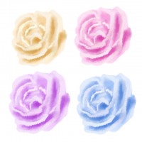 バラの花　四種類
