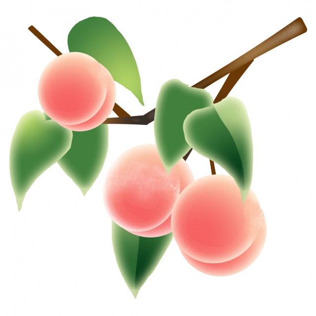 桃の木 無料イラスト素材 素材ラボ