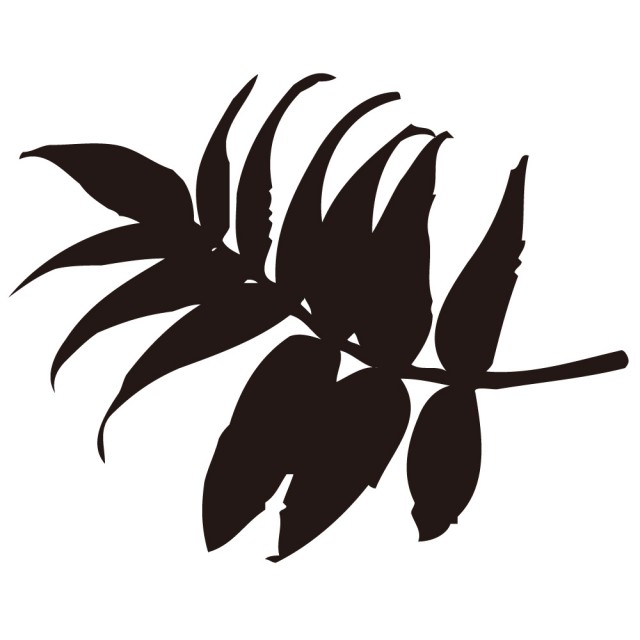 シルエット素材 植物 葉っぱ 06 無料イラスト素材 素材ラボ