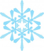 雪の結晶（CSa…