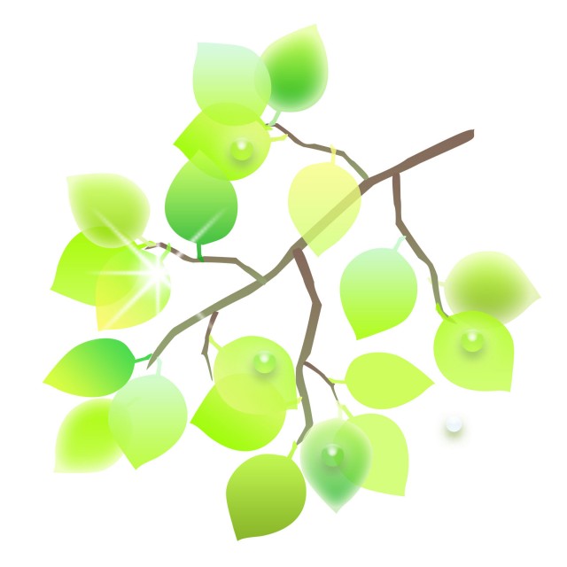 新緑の枝 無料イラスト素材 素材ラボ