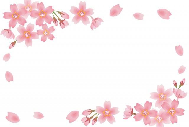桜の花フレーム【…