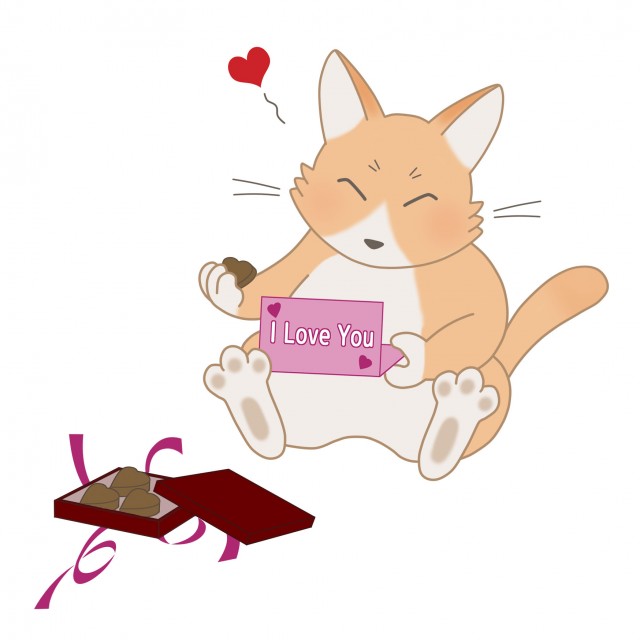 2月のイラスト バレンタインデーにチョコを貰ったネコ 無料イラスト素材 素材ラボ