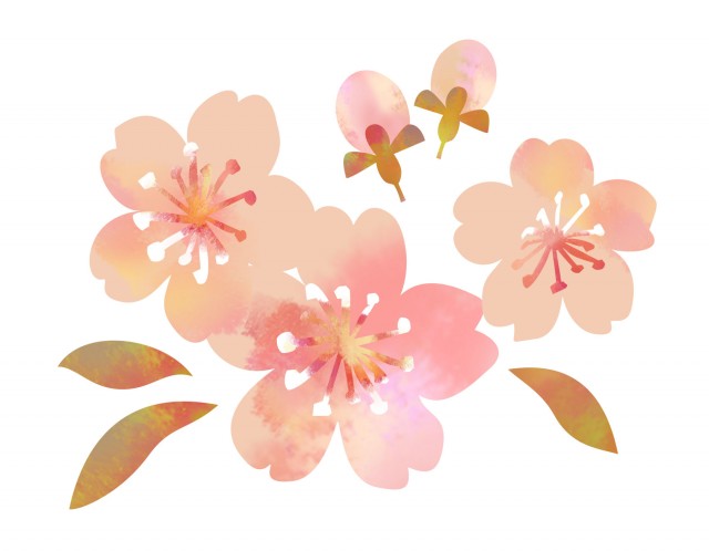 水彩な桜 無料イラスト素材 素材ラボ