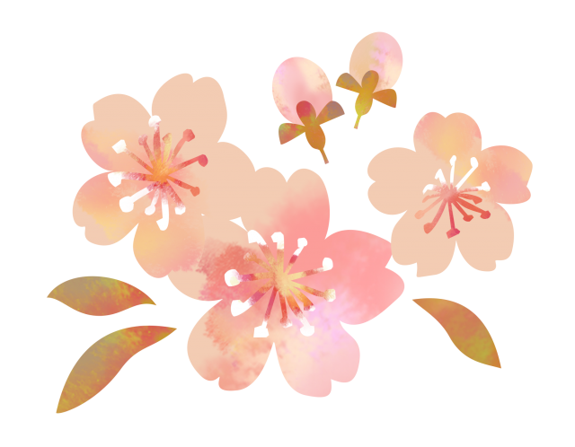水彩な桜 無料イラスト素材 素材ラボ