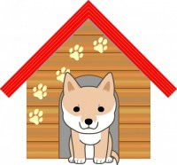 犬小屋と犬