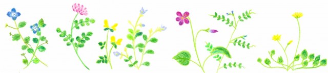 春めく野の花ライン 無料イラスト素材 素材ラボ