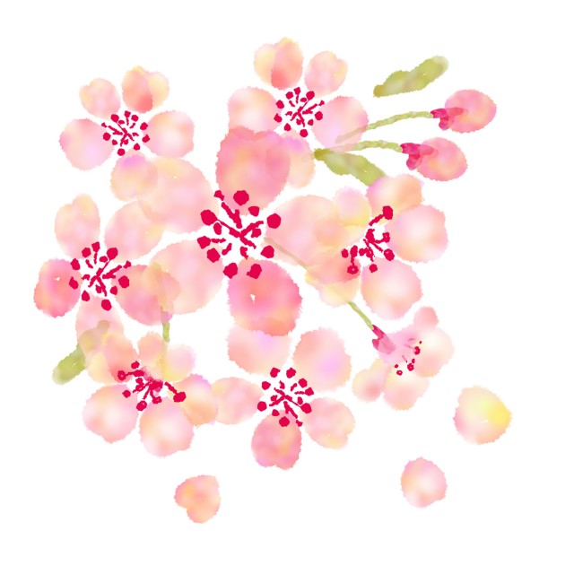 75 桜 卒業 イラスト 手書き かわいいディズニー画像