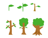 木の生長