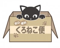 箱入りにゃんこ