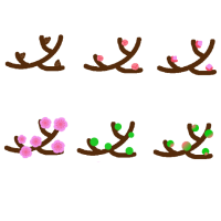 梅の花と実の成長