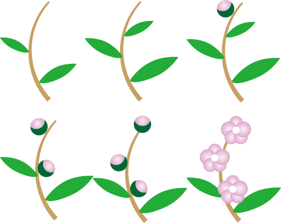 植物47 可愛い梅の花が咲くまでアイコン 無料イラスト素材 素材ラボ
