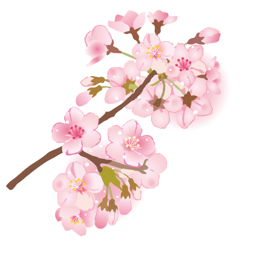 桜の枝イラスト 透過png Jpg 無料イラスト素材 素材ラボ
