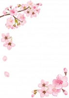 桜の枝フレーム【…