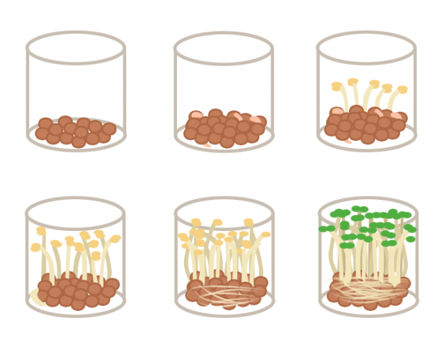 カイワレ大根の育て方 無料イラスト素材 素材ラボ