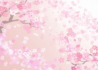 見上げた桜の風景