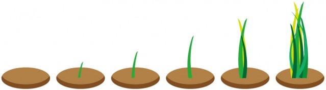 土からはえる草の成長アイコン 無料イラスト素材 素材ラボ