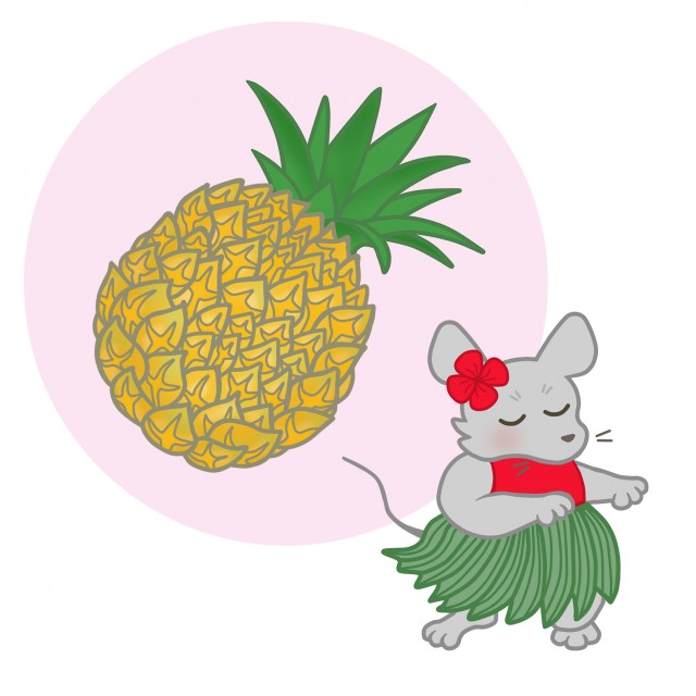 果物のイラスト パイナップル 無料イラスト素材 素材ラボ 果物のイラスト パイナップル 無料イラスト素材 素材ラボ