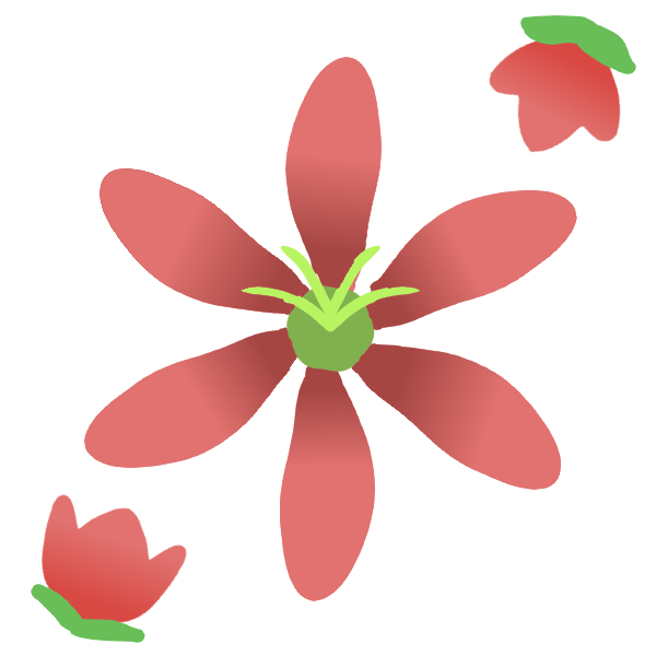 イロハモミジの花のイラスト 無料イラスト素材 素材ラボ