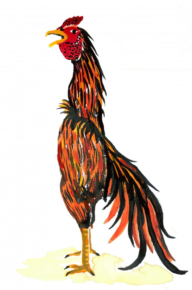 軍鶏 シャモ ニワトリのイラスト 無料イラスト素材 素材ラボ