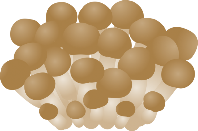しめじのイラスト 無料イラスト素材 素材ラボ