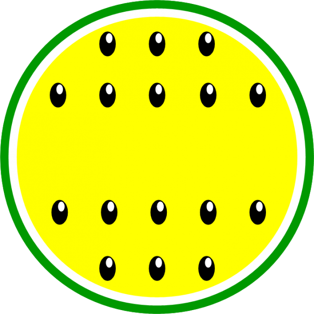 黄色 スイカ 断面図 無料イラスト素材 素材ラボ