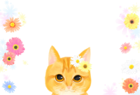 猫とお花のフレー…