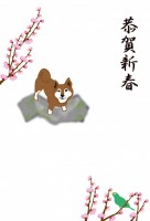 戌年の柴犬のイラ…