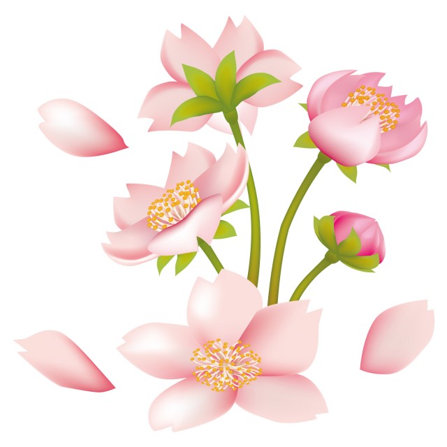桜のイラスト さくらの花とつぼみ2 無料イラスト素材 素材ラボ