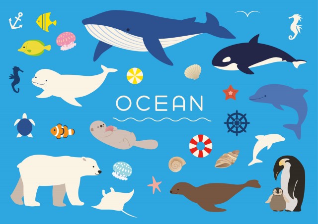 海の動物たちのイラストセット 無料イラスト素材 素材ラボ