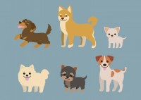 犬のイラストセッ…