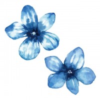 【水彩】青い花の…