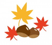 木の実 かわいい無料イラスト 使える無料雛形テンプレート最新順 素材ラボ