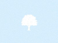 白い木と青い背景…