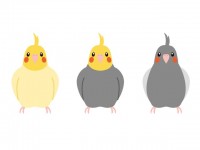 インコ かわいい無料イラスト 使える無料雛形テンプレート最新順 素材ラボ