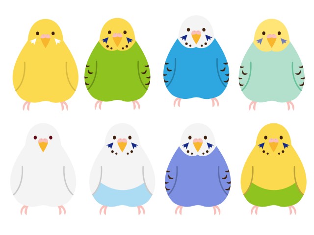 75 インコ イラスト かわいい 全イラスト集