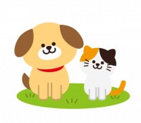 芝生と犬猫（動物…
