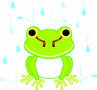 雨の中のアマガエ…