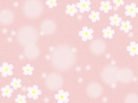 桜の花模様の壁紙…