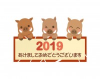 2019亥年7