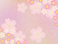 桜の花の壁紙イラ…