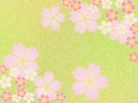 桜の花の壁紙イラ…